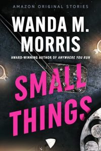 Book Review: Small Things by Wanda M. Morris – A Quietly Devastating Tale of Survival and Subtle Revenge